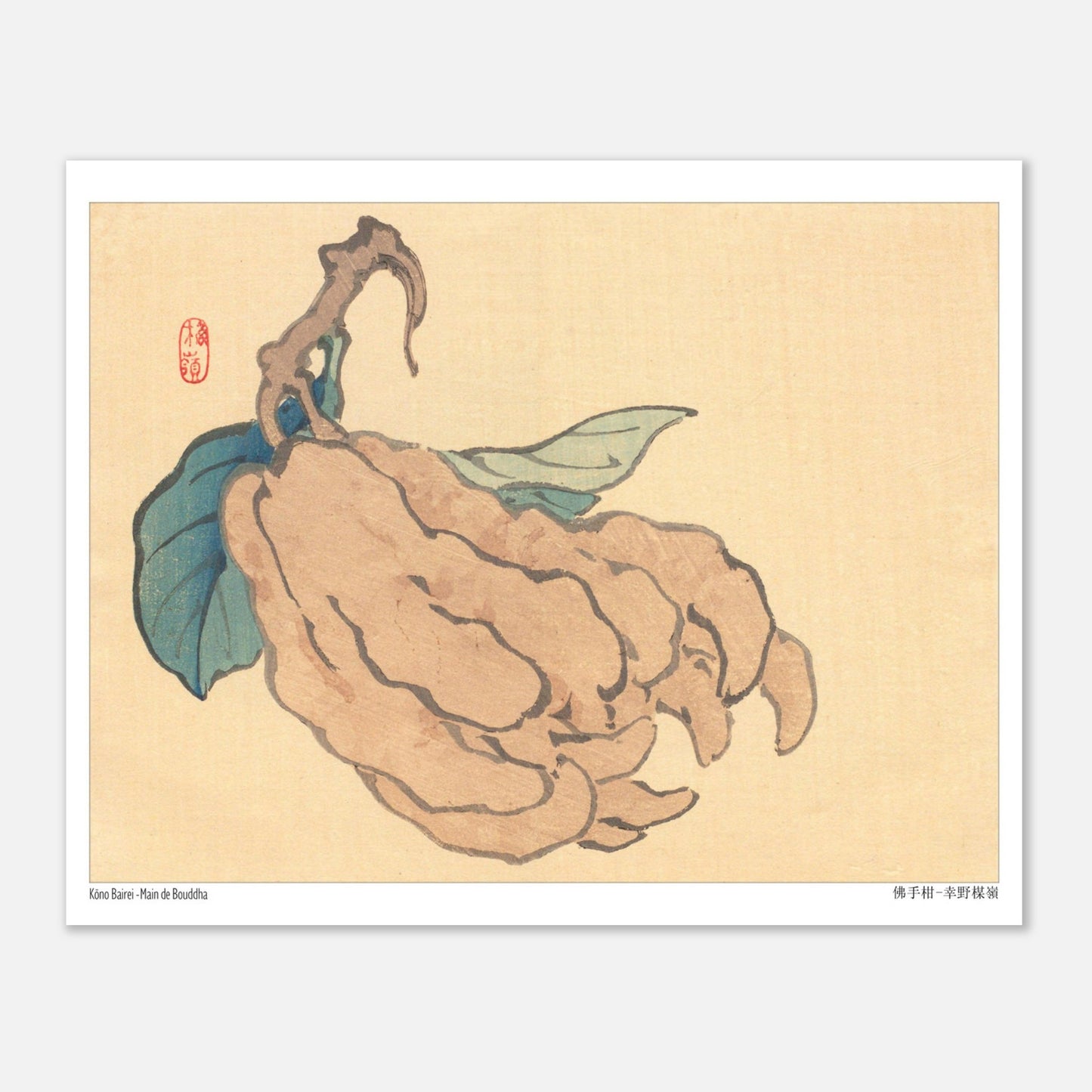 Illustration du Cédrat Main de Bouddha par Kōno Bairei (20x25 cm). Illustration naturaliste d'un fruit de type 'Main de Bouddha' avec des feuilles bleues, sur fond jaune pâle, par Kōno Bairei.