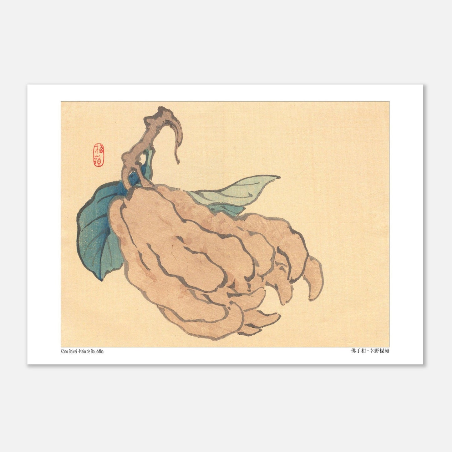 Illustration du Cédrat Main de Bouddha par Kōno Bairei (29,7x42 cm (A3)). Illustration naturaliste d'un fruit de type 'Main de Bouddha' avec des feuilles bleues, sur fond jaune pâle, par Kōno Bairei.