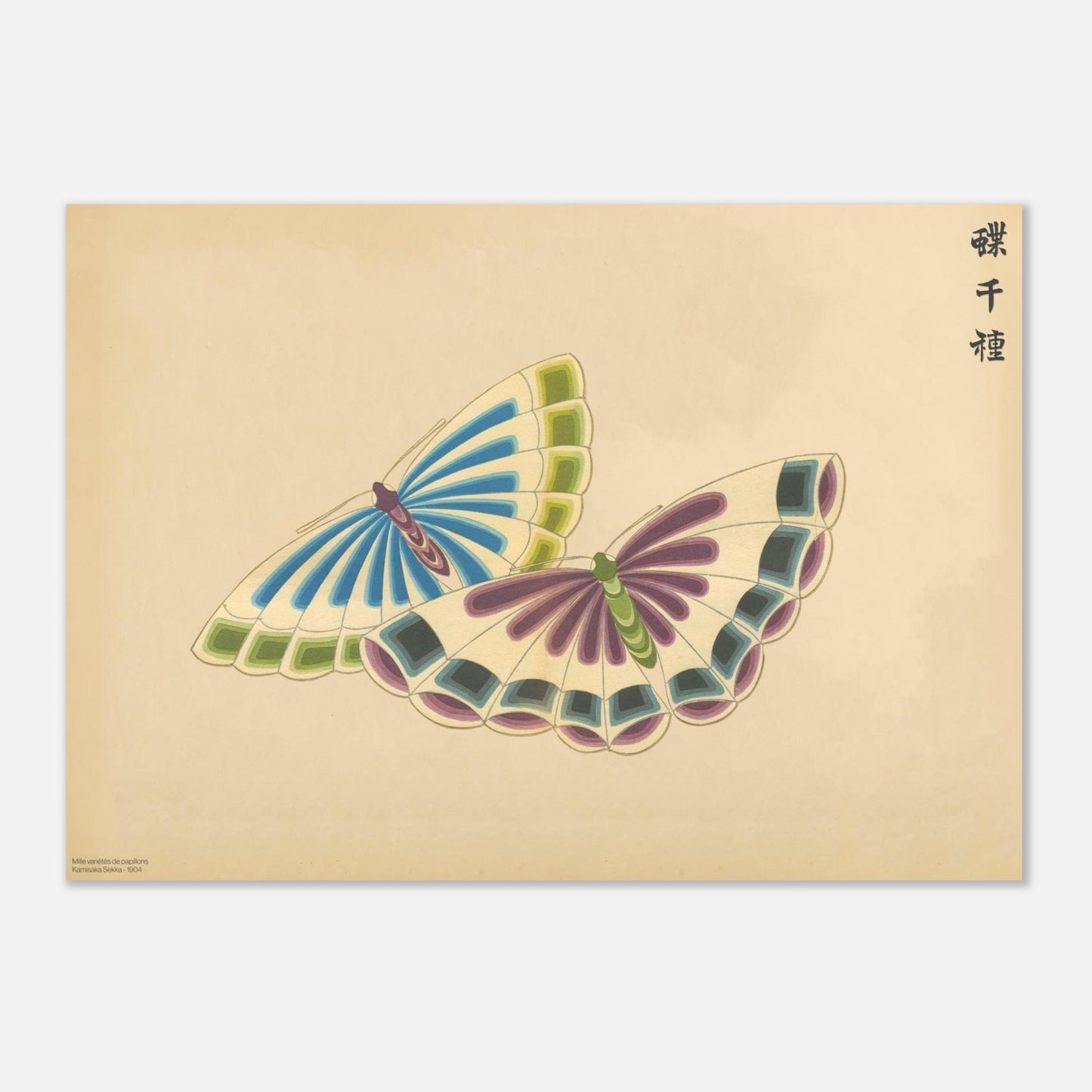Illustration de papillons en éventails par Kamisaka Sekka (29,7x42 cm (A3)). Illustration d'une paire de papillons stylisés, aux ailes formant des éventails aux couleurs vives, sur fond beige.