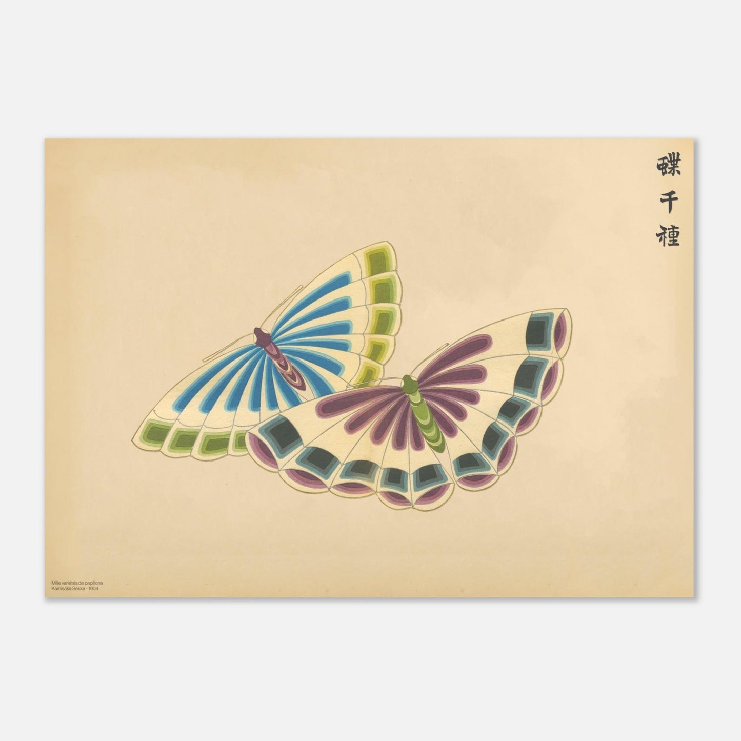 Illustration de papillons en éventails par Kamisaka Sekka (42x59,4 cm (A2)). Illustration d'une paire de papillons stylisés, aux ailes formant des éventails aux couleurs vives, sur fond beige.