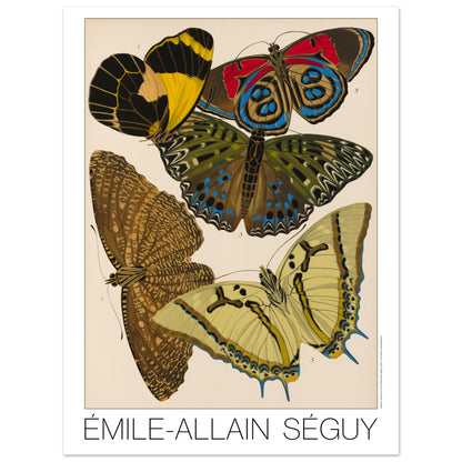 Illustration de papillons naturalistes par Émile-Allain Séguy (30x40 cm). Illustration de l'Art déco par Émile-Allain Séguy représentant cinq papillons avec des ailes aux motifs géométriques et aux couleurs vives, notamment jaunes, rouges et bleues.