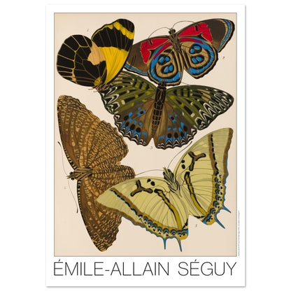 Illustration de papillons naturalistes par Émile-Allain Séguy (59,4x84,1 cm (A1)). Illustration de l'Art déco par Émile-Allain Séguy représentant cinq papillons avec des ailes aux motifs géométriques et aux couleurs vives, notamment jaunes, rouges et bleues.