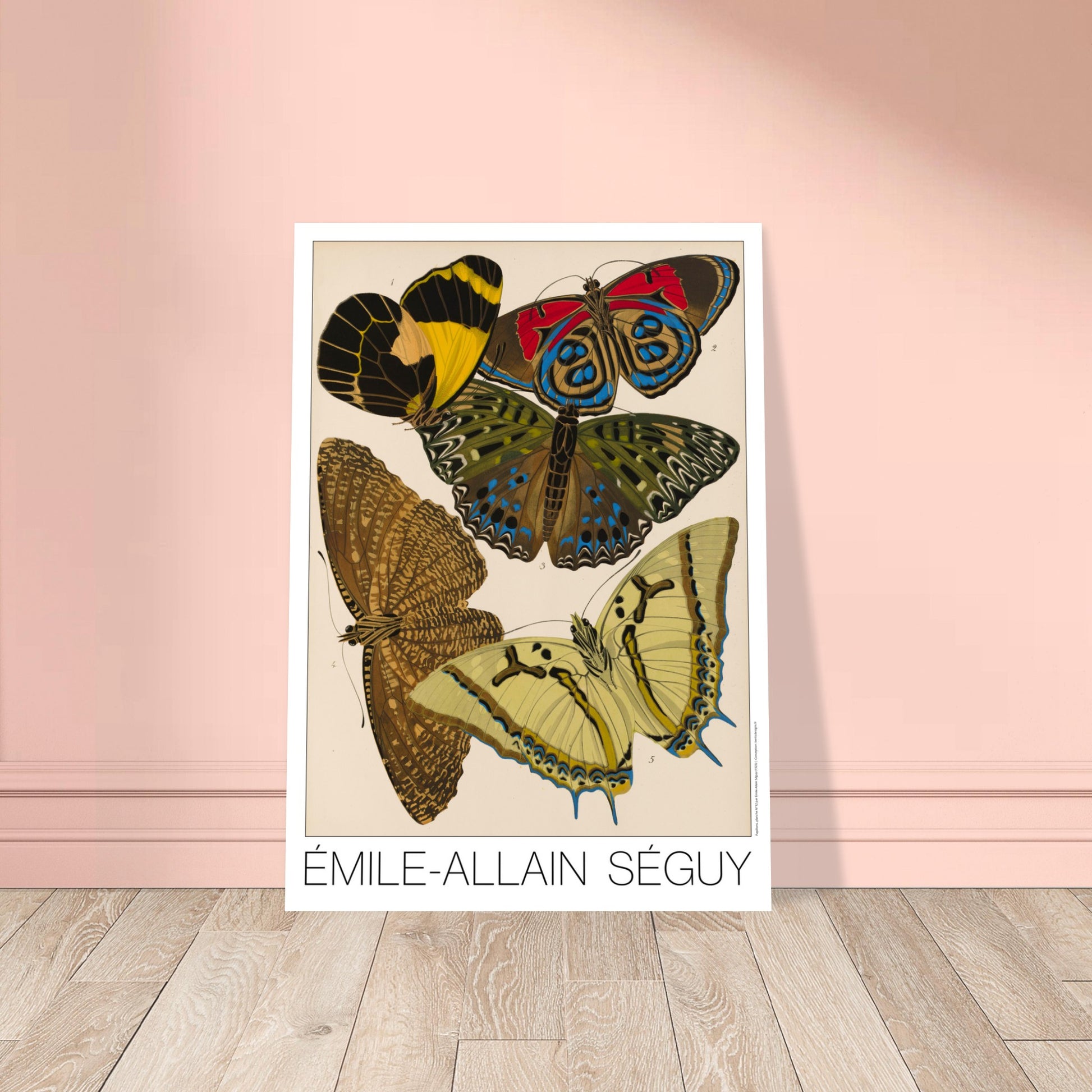 Illustration de papillons naturalistes par Émile-Allain Séguy. Illustration de l'Art déco par Émile-Allain Séguy représentant cinq papillons avec des ailes aux motifs géométriques et aux couleurs vives, notamment jaunes, rouges et bleues. Image d'illustration 8