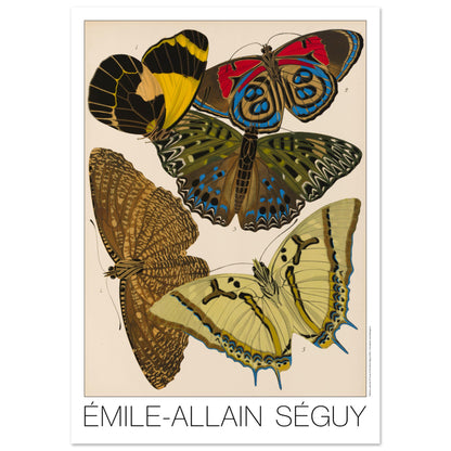 Illustration de papillons naturalistes par Émile-Allain Séguy (84,1x118,9 cm (A0)). Illustration de l'Art déco par Émile-Allain Séguy représentant cinq papillons avec des ailes aux motifs géométriques et aux couleurs vives, notamment jaunes, rouges et bleues.