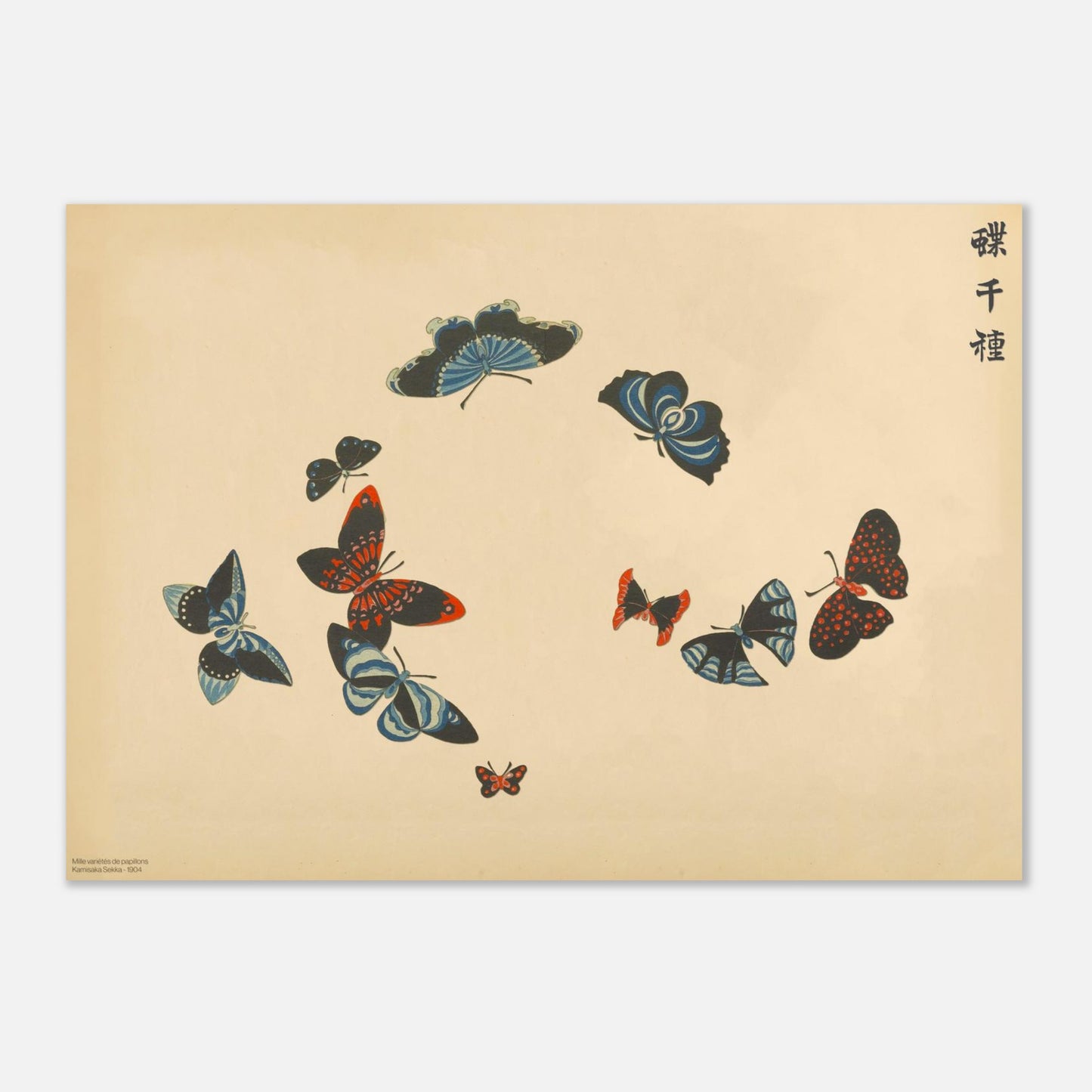 Illustration de papillons noirs aux motifs bleus et rouges - Kamisaka Sekka (29,7x42 cm (A3)). Gravure de la collection Mille variétés de papillons, représentant une dizaine de papillons aux ailes noires contrastant avec des motifs bleus et rouges, sur un fond beige.
