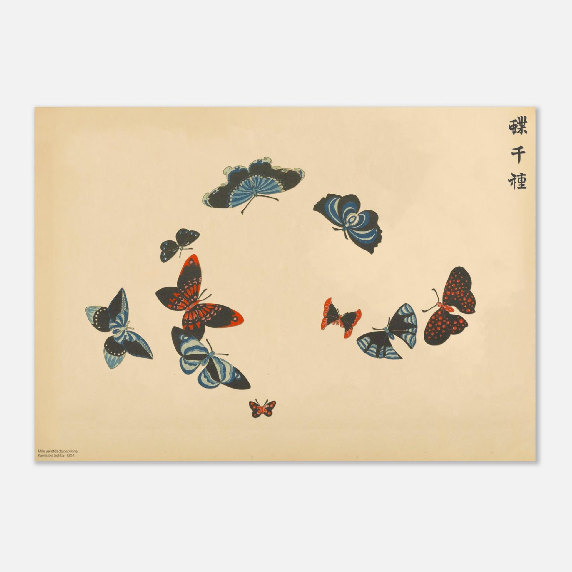 Illustration de papillons noirs aux motifs bleus et rouges - Kamisaka Sekka (29,7x42 cm (A3)). Gravure de la collection Mille variétés de papillons, représentant une dizaine de papillons aux ailes noires contrastant avec des motifs bleus et rouges, sur un fond beige.