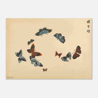 Illustration de papillons noirs aux motifs bleus et rouges - Kamisaka Sekka (42x59,4 cm (A2)). Gravure de la collection Mille variétés de papillons, représentant une dizaine de papillons aux ailes noires contrastant avec des motifs bleus et rouges, sur un fond beige.