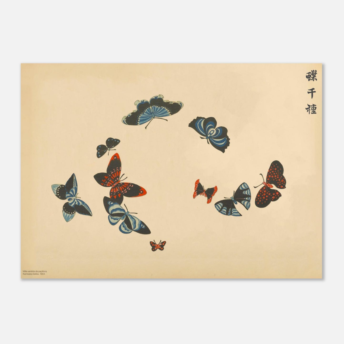 Illustration de papillons noirs aux motifs bleus et rouges - Kamisaka Sekka (50x70 cm). Gravure de la collection Mille variétés de papillons, représentant une dizaine de papillons aux ailes noires contrastant avec des motifs bleus et rouges, sur un fond beige.