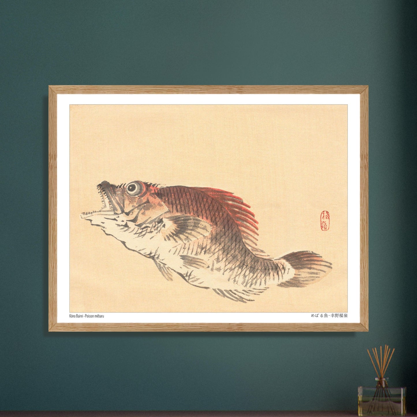 Illustration naturaliste du poisson Mebaru, estampe japonaise de Kōno Bairei. Estampe ancienne représentant un poisson mebaru de profil, gueule ouverte, sur un fond crème. Image d'illustration 6