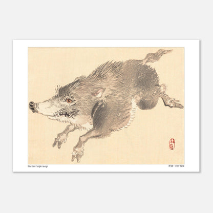 Illustration naturaliste d'un Sanglier sauvage par Kōno Bairei (21x29,7 cm (A4)). Illustration naturaliste d'un sanglier sauvage en plein saut, par Kōno Bairei.