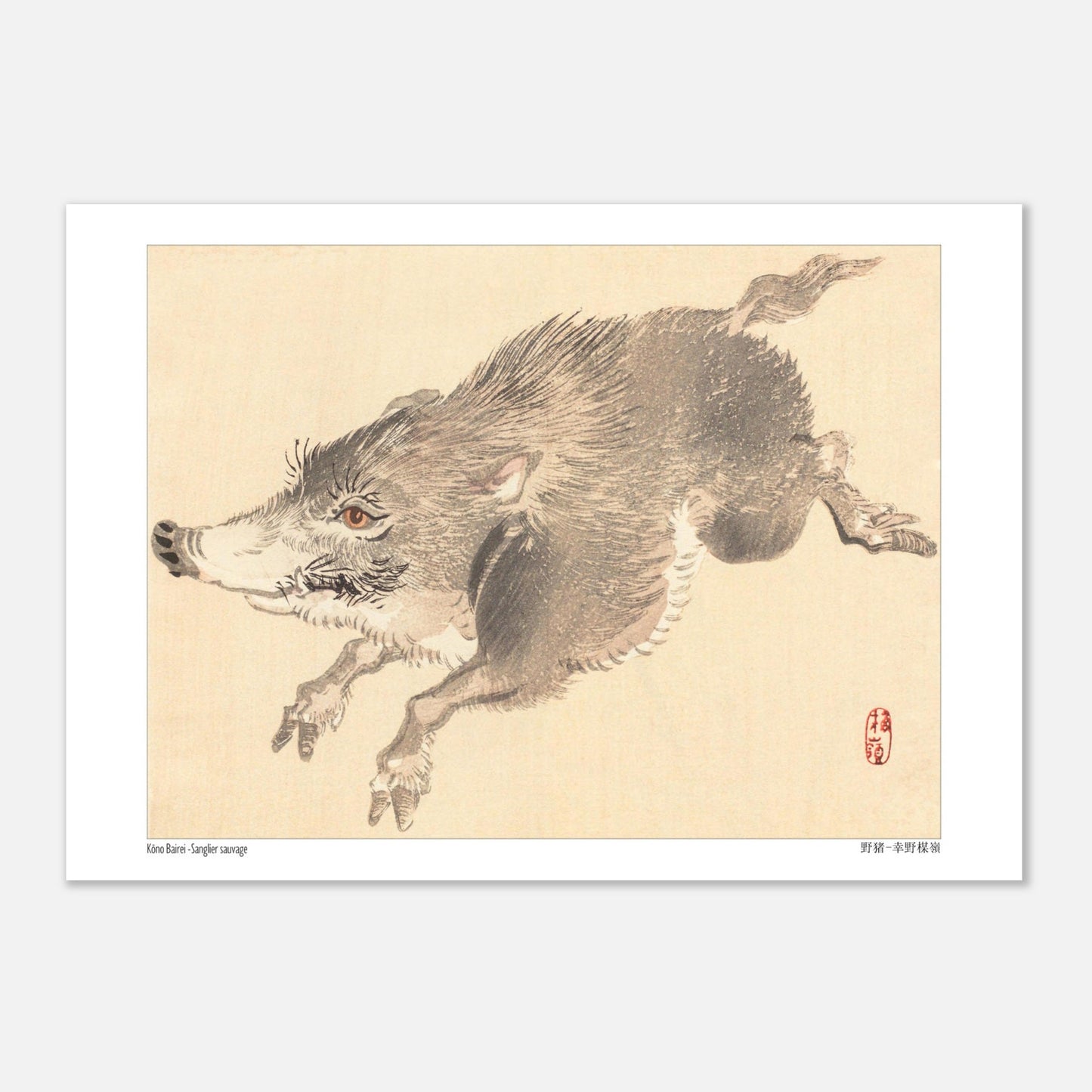 Illustration naturaliste d'un Sanglier sauvage par Kōno Bairei (29,7x42 cm (A3)). Illustration naturaliste d'un sanglier sauvage en plein saut, par Kōno Bairei.