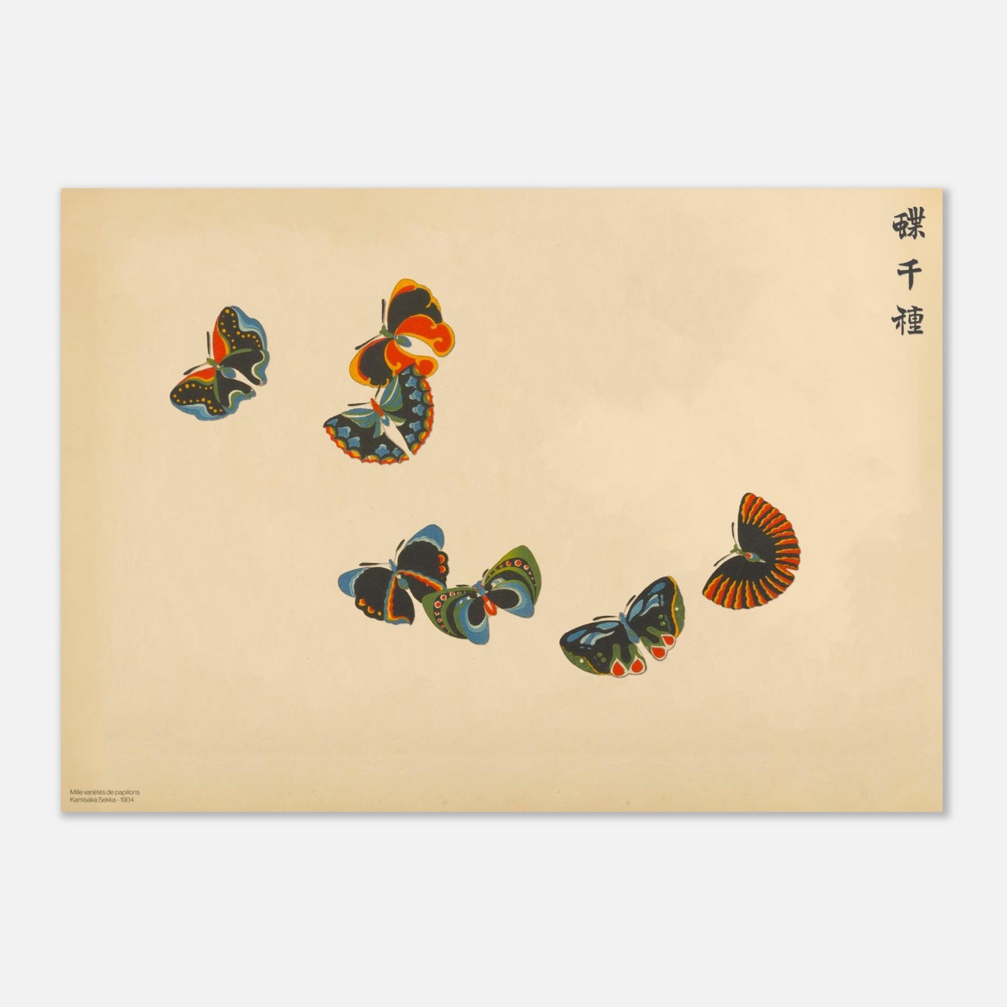 Illustration de sept papillons multicolores - Kamisaka Sekka (42x59,4 cm (A2)). Planche naturaliste de sept papillons aux ailes éclatantes aux teintes rouge, bleu, noir et jaune, disposés en vol sur un fond beige.