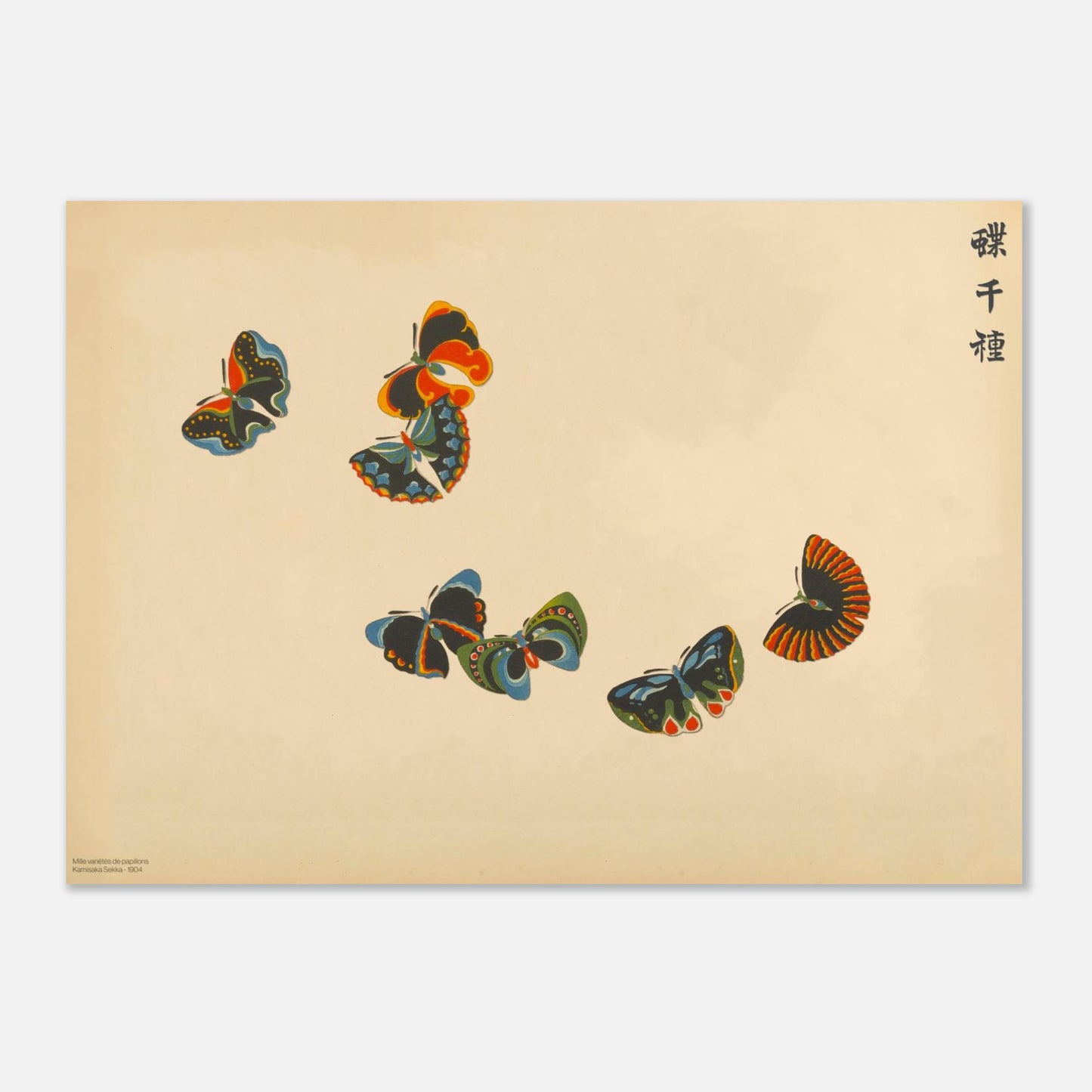 Illustration de sept papillons multicolores - Kamisaka Sekka (50x70 cm). Planche naturaliste de sept papillons aux ailes éclatantes aux teintes rouge, bleu, noir et jaune, disposés en vol sur un fond beige.