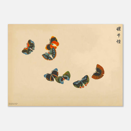 Illustration de sept papillons multicolores - Kamisaka Sekka (50x70 cm). Planche naturaliste de sept papillons aux ailes éclatantes aux teintes rouge, bleu, noir et jaune, disposés en vol sur un fond beige.
