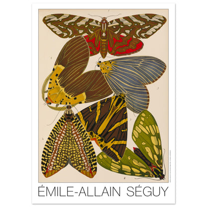 Illustration de six papillons Art déco par Émile-Allain Séguy (50x70 cm). Illustration d'Émile-Allain Séguy présentant six papillons aux motifs variés et colorés, dont des teintes de brun, jaune, vert et bleu.