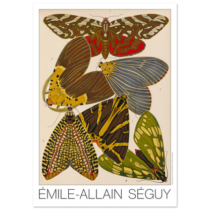Illustration de six papillons Art déco par Émile-Allain Séguy (59,4x84,1 cm (A1)). Illustration d'Émile-Allain Séguy présentant six papillons aux motifs variés et colorés, dont des teintes de brun, jaune, vert et bleu.