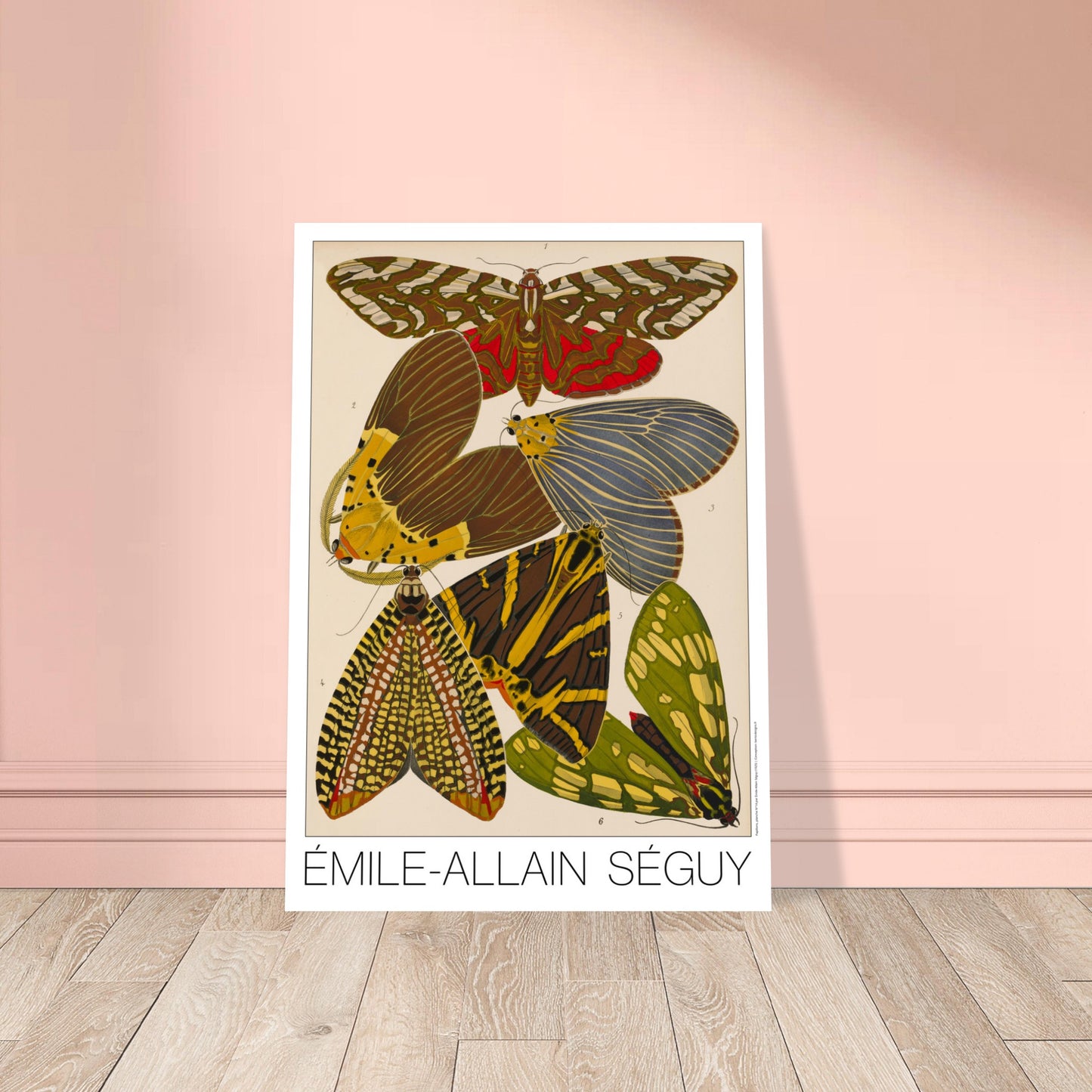 Illustration de six papillons Art déco par Émile-Allain Séguy. Illustration d'Émile-Allain Séguy présentant six papillons aux motifs variés et colorés, dont des teintes de brun, jaune, vert et bleu. Image d'illustration 8
