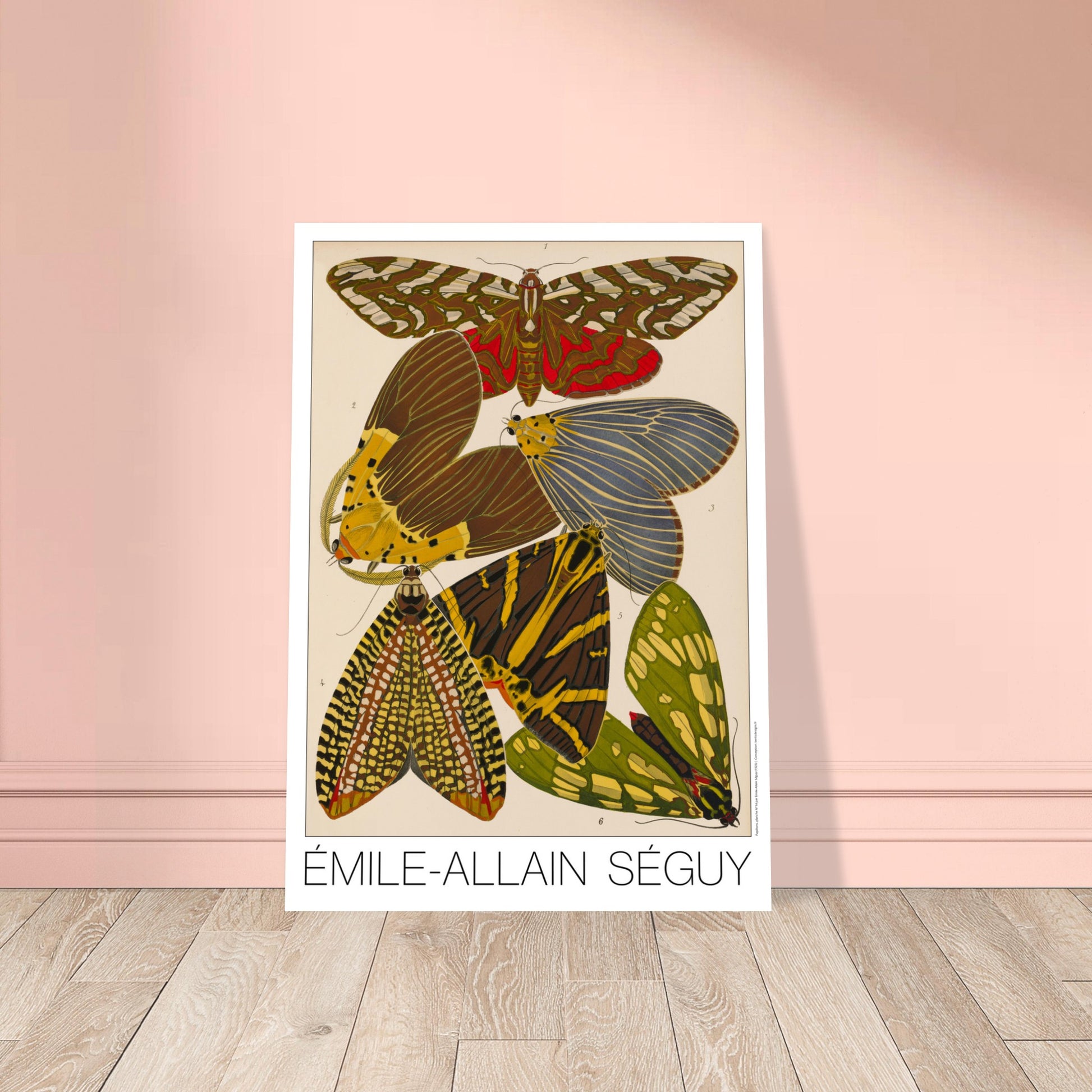 Illustration de six papillons Art déco par Émile-Allain Séguy. Illustration d'Émile-Allain Séguy présentant six papillons aux motifs variés et colorés, dont des teintes de brun, jaune, vert et bleu. Image d'illustration 8