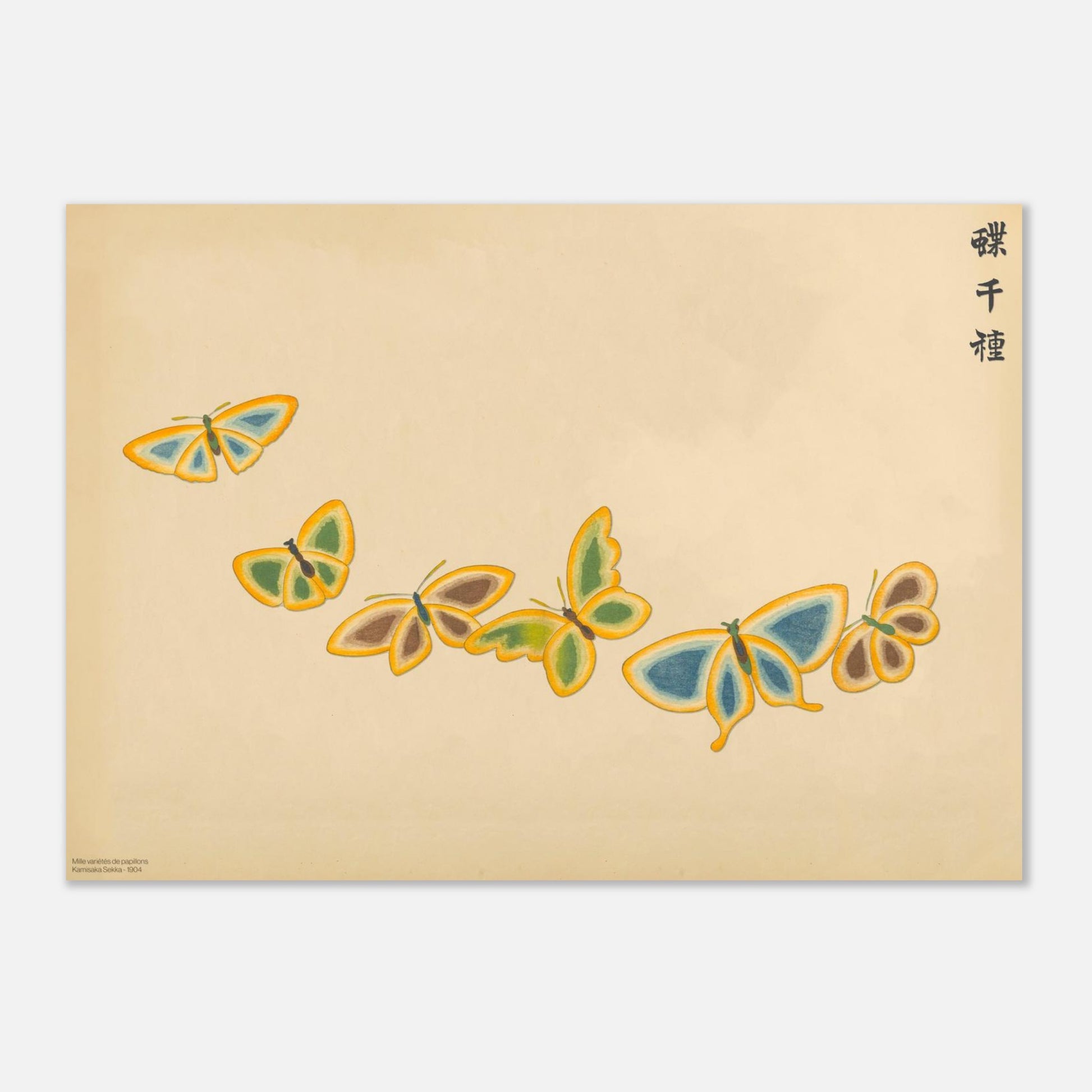 Illustration de six papillons aux bordures contrastées - Kamisaka Sekka (29,7x42 cm (A3)). Gravure de la collection Mille variétés de papillons, illustrant six papillons aux ailes de couleurs variées, jaune, bleu, marron et orange, disposés en ligne sur un fond beige.