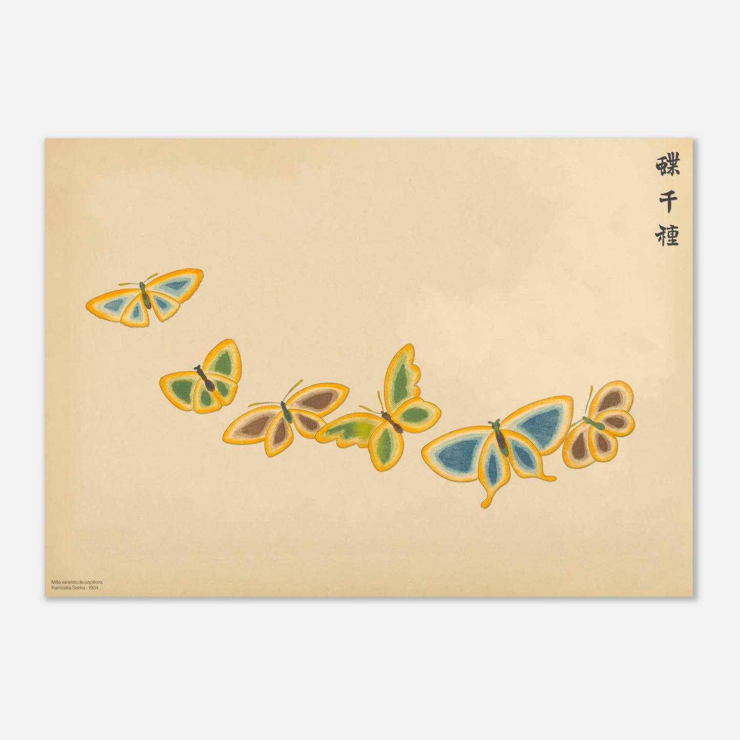 Illustration de six papillons aux bordures contrastées - Kamisaka Sekka (42x59,4 cm (A2)). Gravure de la collection Mille variétés de papillons, illustrant six papillons aux ailes de couleurs variées, jaune, bleu, marron et orange, disposés en ligne sur un fond beige.