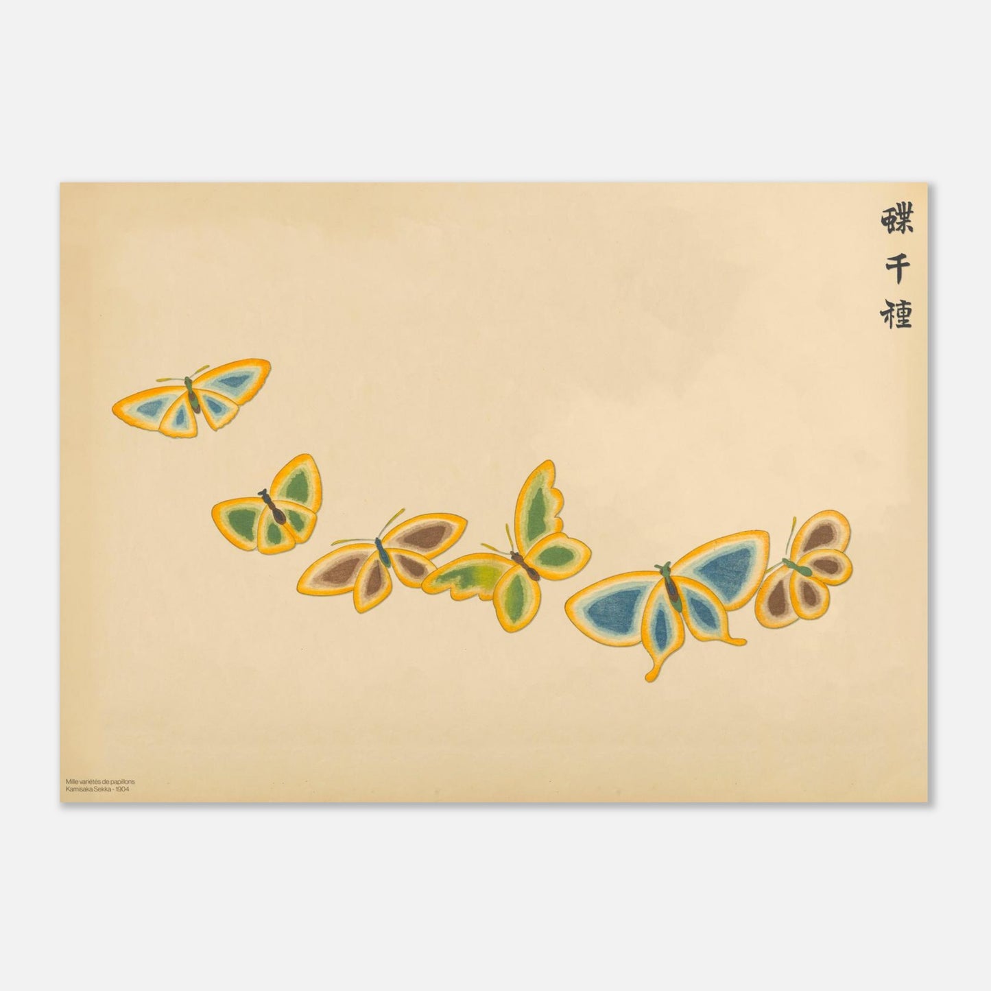 Illustration de six papillons aux bordures contrastées - Kamisaka Sekka (50x70 cm). Gravure de la collection Mille variétés de papillons, illustrant six papillons aux ailes de couleurs variées, jaune, bleu, marron et orange, disposés en ligne sur un fond beige.
