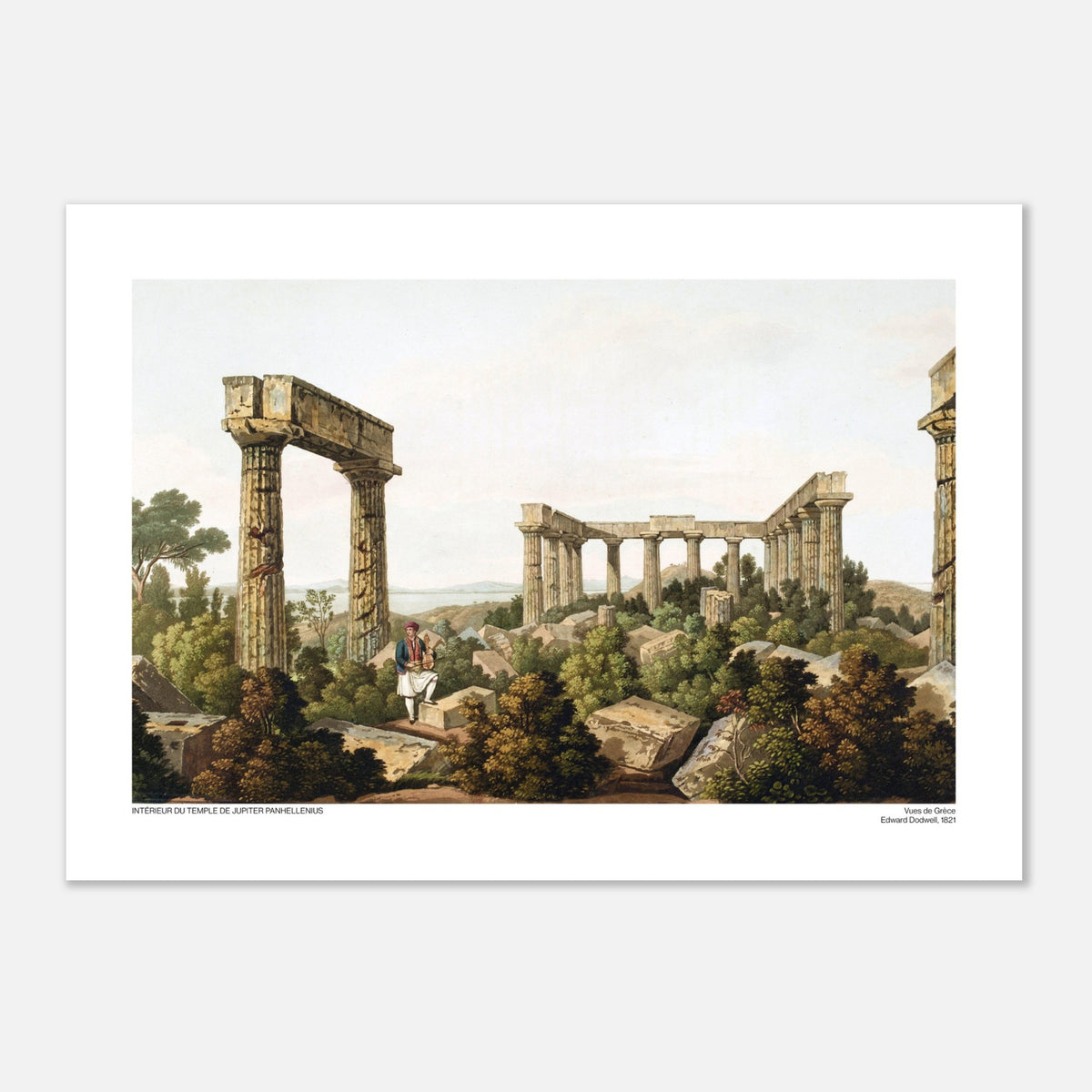 Vista interna del Tempio di Giove Panellenio, di Edward Dodwell (29,7x42 cm (A3)). Le rovine di un tempio antico, con colonne imponenti e frammenti di pietra immersi in una vegetazione lussureggiante.