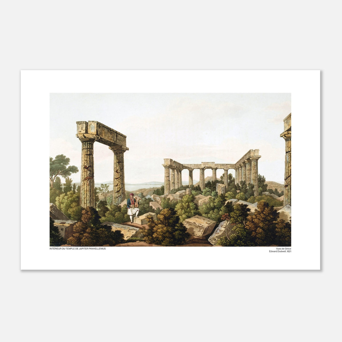 Vista interna del Tempio di Giove Panellenio, di Edward Dodwell (40x60 cm). Le rovine di un tempio antico, con colonne imponenti e frammenti di pietra immersi in una vegetazione lussureggiante.