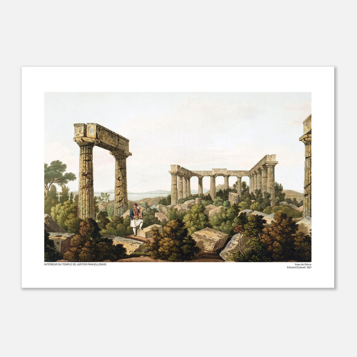 Vista interna del Tempio di Giove Panellenio, di Edward Dodwell (42x59,4 cm (A2)). Le rovine di un tempio antico, con colonne imponenti e frammenti di pietra immersi in una vegetazione lussureggiante.