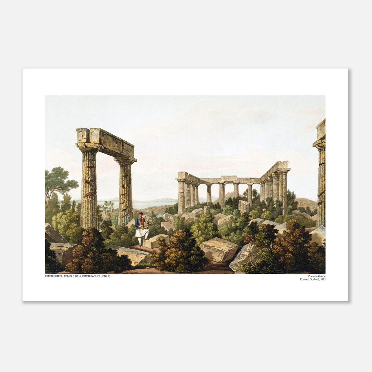 Vista interna del Tempio di Giove Panellenio, di Edward Dodwell (50x70 cm). Le rovine di un tempio antico, con colonne imponenti e frammenti di pietra immersi in una vegetazione lussureggiante.