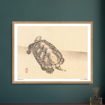 Illustration naturaliste d'une tortue par l'artiste japonais Kōno Bairei. Illustration d'une tortue vue de dessus sur un fond clair, par Kōno Bairei. Image d'illustration 5
