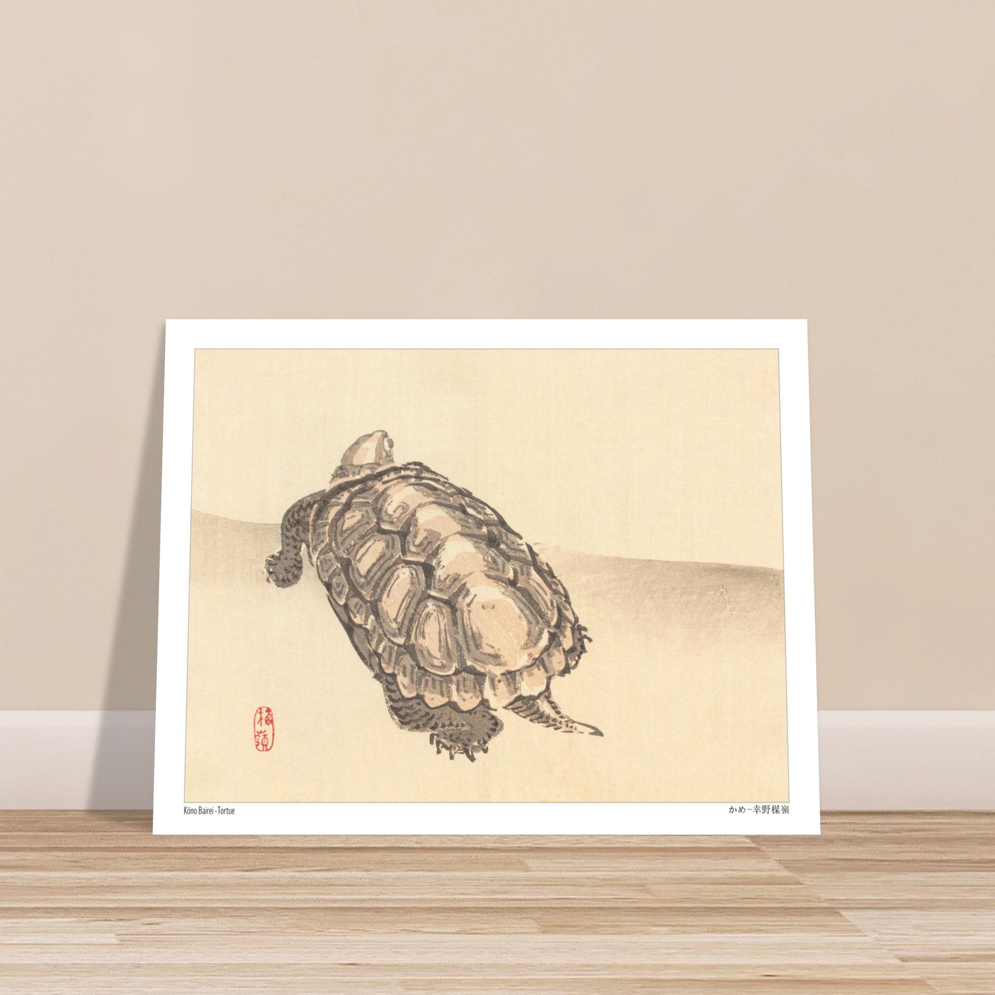 Illustration naturaliste d'une tortue par l'artiste japonais Kōno Bairei. Illustration d'une tortue vue de dessus sur un fond clair, par Kōno Bairei. Image d'illustration 6