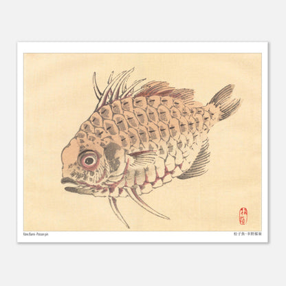 Poisson-globe, Illustration Zoologique Japonaise par Kōno Bairei (20x25 cm). Illustration d'un poisson-globe aux écailles détaillées, par Kōno Bairei.