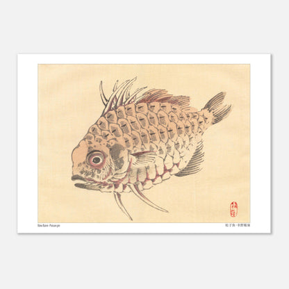 Poisson-globe, Illustration Zoologique Japonaise par Kōno Bairei (21x29,7 cm (A4)). Illustration d'un poisson-globe aux écailles détaillées, par Kōno Bairei.