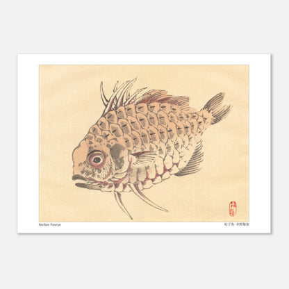 Poisson-globe, Illustration Zoologique Japonaise par Kōno Bairei (29,7x42 cm (A3)). Illustration d'un poisson-globe aux écailles détaillées, par Kōno Bairei.