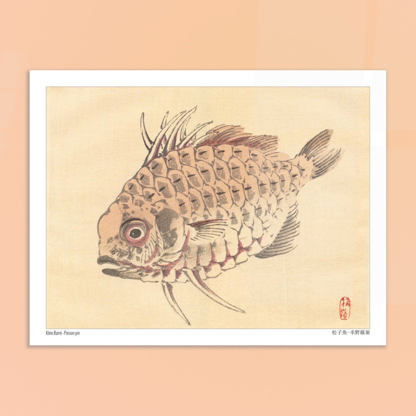 Poisson-globe, Illustration Zoologique Japonaise par Kōno Bairei. Illustration d'un poisson-globe aux écailles détaillées, par Kōno Bairei. Image d'illustration 6