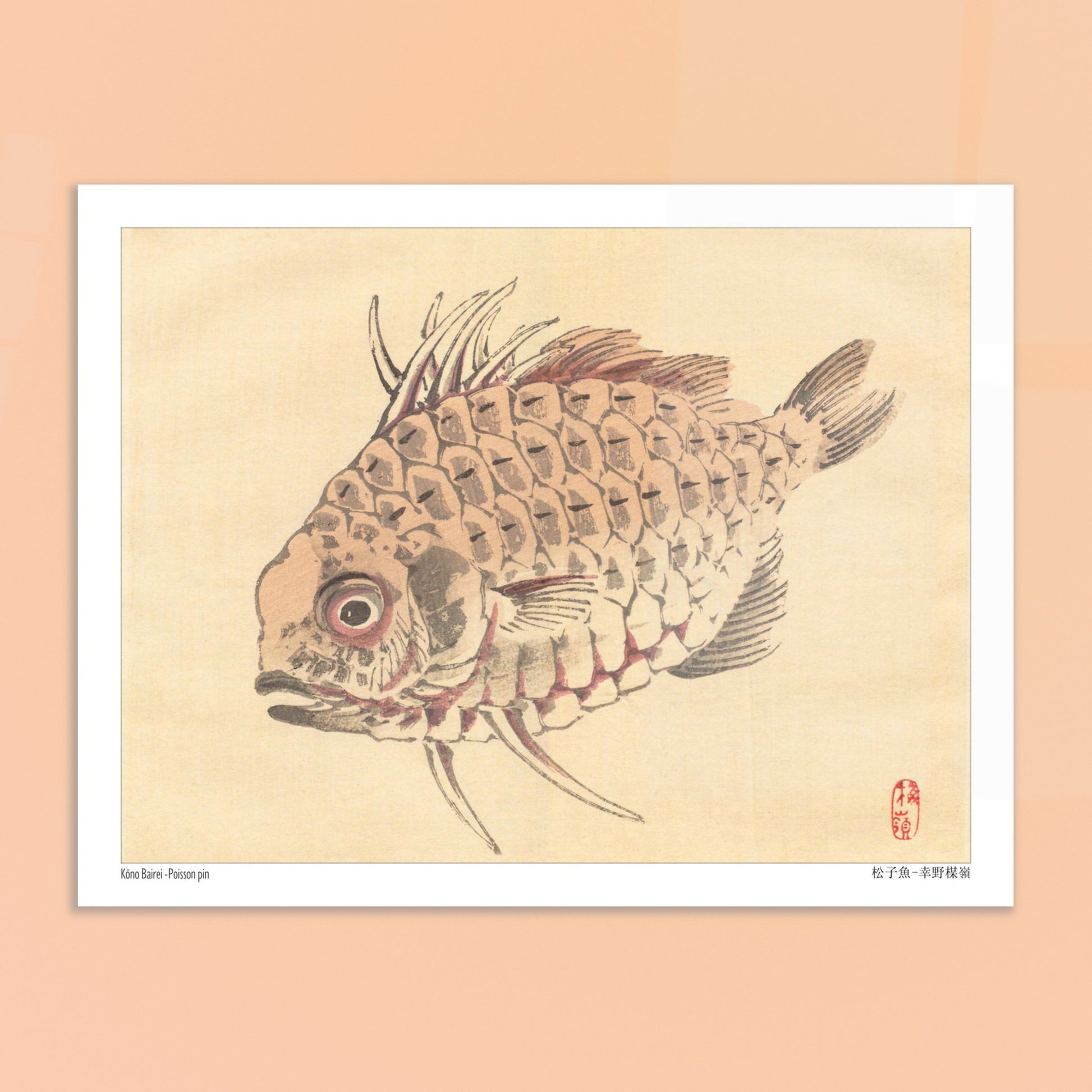 Poisson-globe, Illustration Zoologique Japonaise par Kōno Bairei. Illustration d'un poisson-globe aux écailles détaillées, par Kōno Bairei. Image d'illustration 6