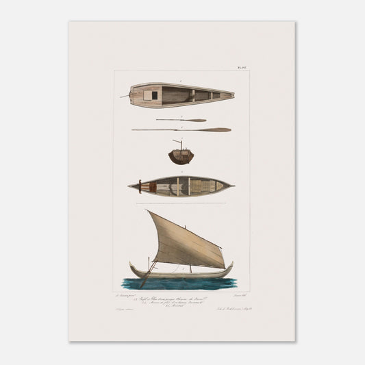 Pirogue chinoise de Java et bateau javanais à Batavia (42x59,4 cm (A2)). Cette illustration de planche scientifique présente plusieurs vues d'une pirogue chinoise de Java et d'un bateau javanais.