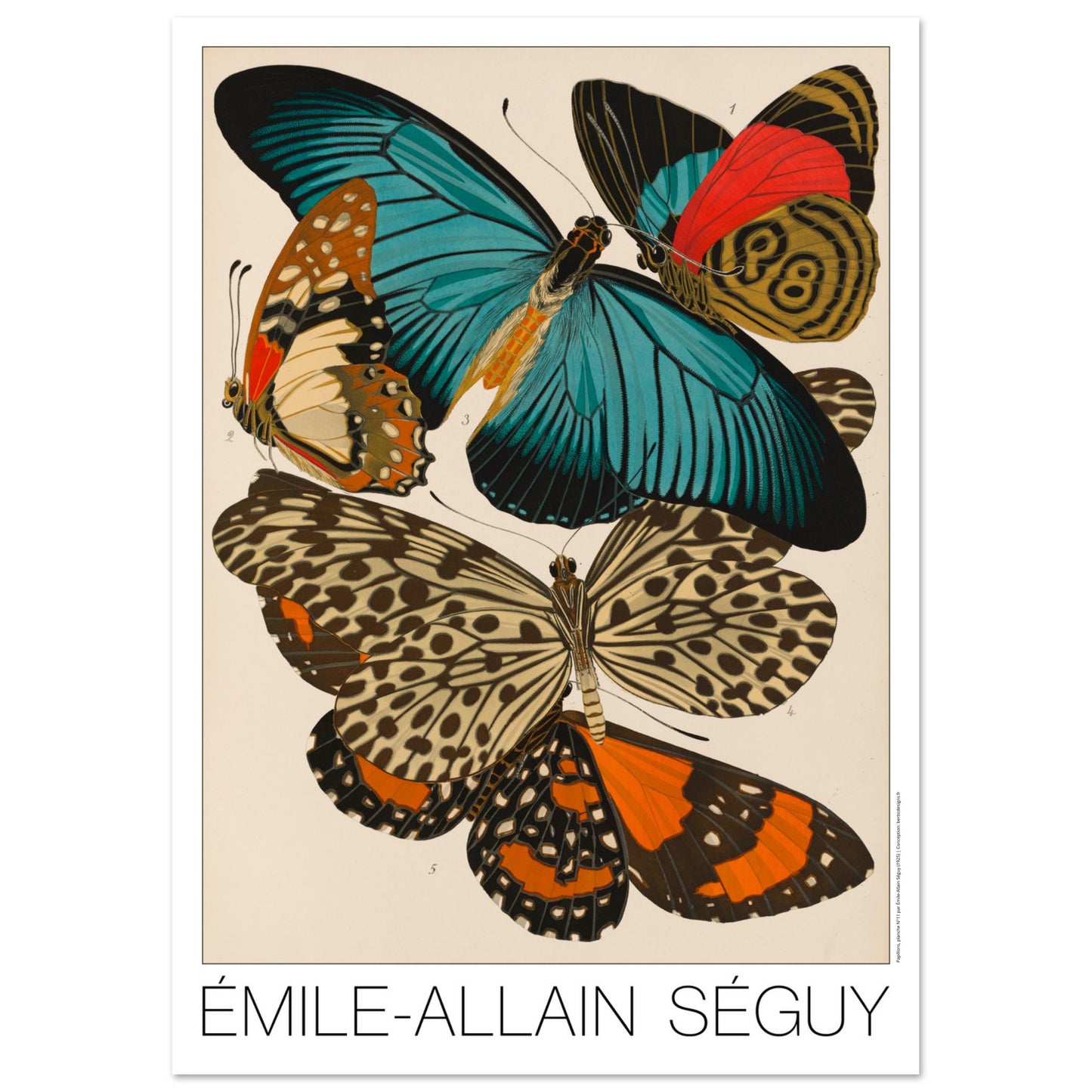 Impression d'Émile-Allain Séguy : des papillons colorés (42x59,4 cm (A2)). Illustration de l'Art déco par Émile-Allain Séguy de cinq papillons aux ailes aux motifs complexes et aux couleurs vives, notamment bleues, oranges et rouges.