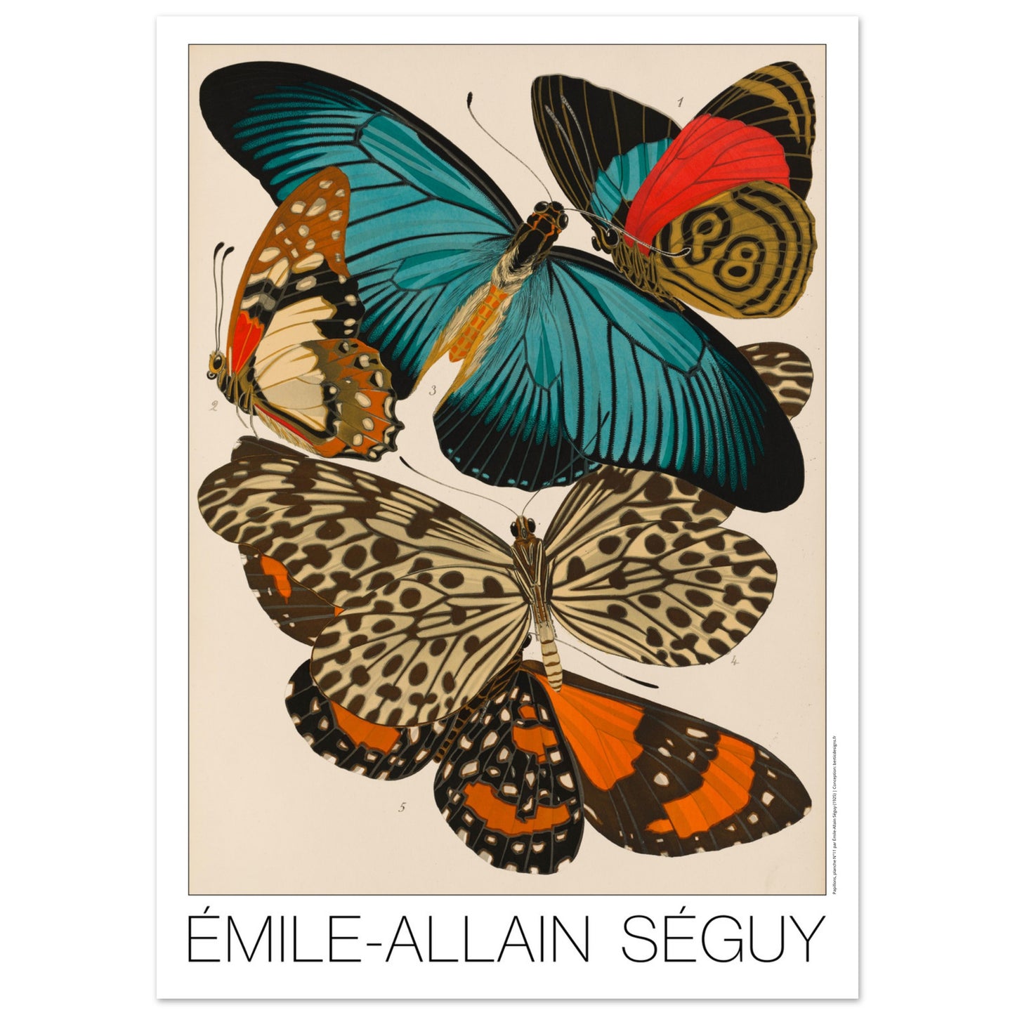 Impression d'Émile-Allain Séguy : des papillons colorés (50x70 cm). Illustration de l'Art déco par Émile-Allain Séguy de cinq papillons aux ailes aux motifs complexes et aux couleurs vives, notamment bleues, oranges et rouges.
