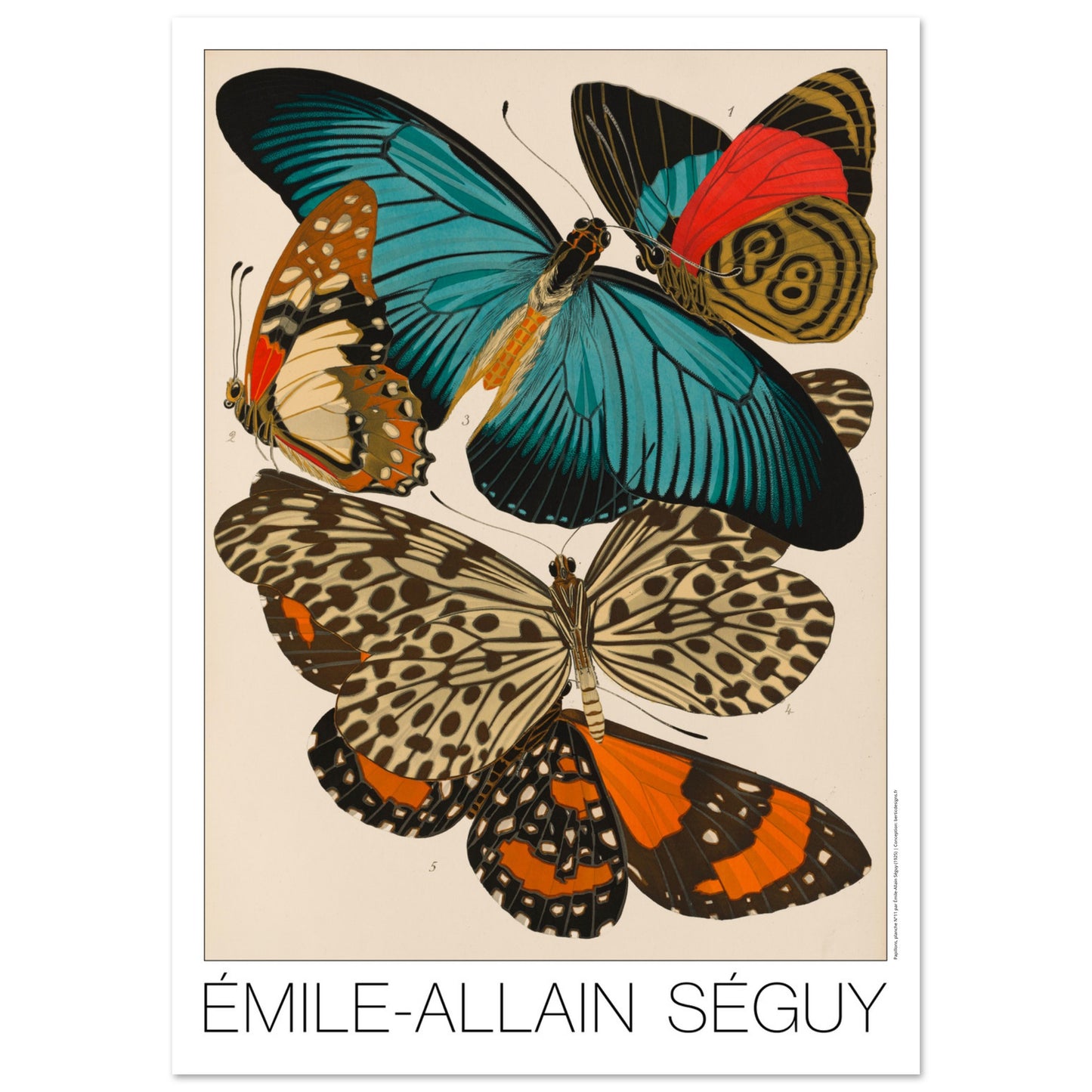 Impression d'Émile-Allain Séguy : des papillons colorés (84,1x118,9 cm (A0)). Illustration de l'Art déco par Émile-Allain Séguy de cinq papillons aux ailes aux motifs complexes et aux couleurs vives, notamment bleues, oranges et rouges.