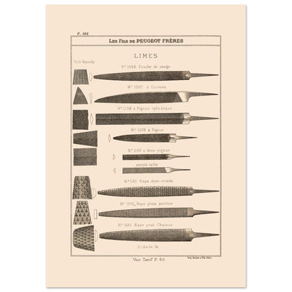 Planche de limes et râpes de précision, catalogue Peugeot Frères 1885 (21x29,7 cm (A4)). Planche illustrant différents types de limes et de râpes, de formes et de tailles variées, avec des exemples de leur taillages.
