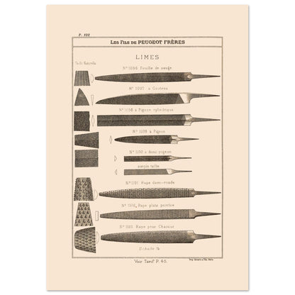 Planche de limes et râpes de précision, catalogue Peugeot Frères 1885 (29,7x42 cm (A3)). Planche illustrant différents types de limes et de râpes, de formes et de tailles variées, avec des exemples de leur taillages.