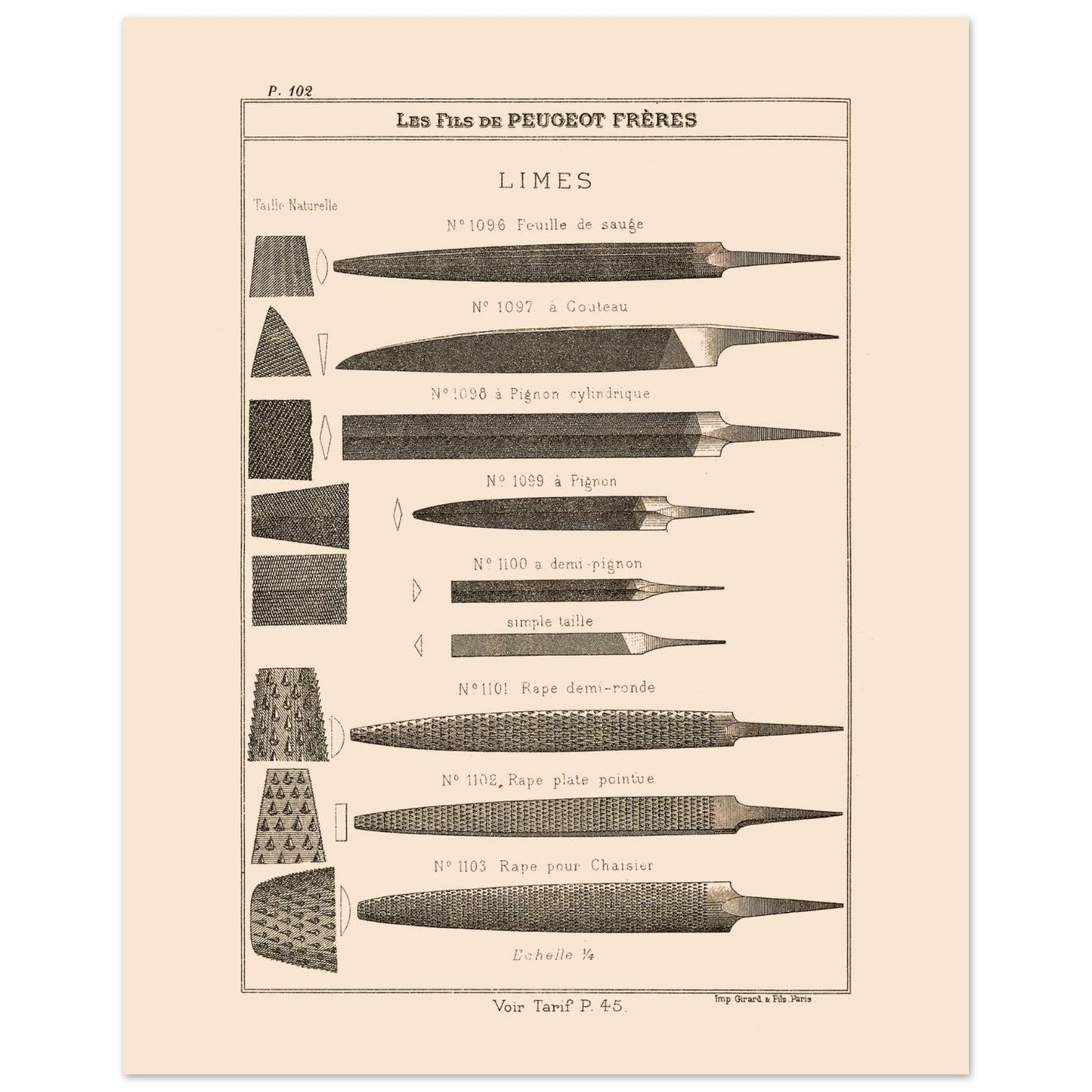 Planche de limes et râpes de précision, catalogue Peugeot Frères 1885 (40x50 cm). Planche illustrant différents types de limes et de râpes, de formes et de tailles variées, avec des exemples de leur taillages.