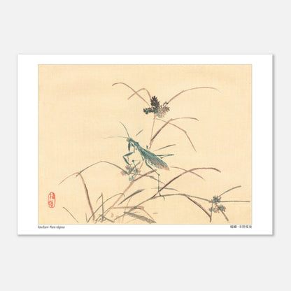 Mante religieuse - Kōno Bairei - Taille 21x29,7 cm (A4)