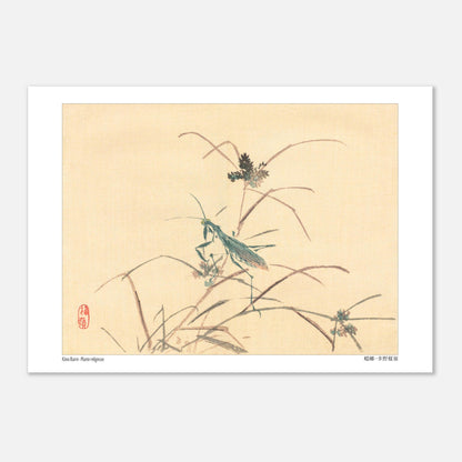 Mante religieuse - Kōno Bairei - Taille 29,7x42 cm (A3)