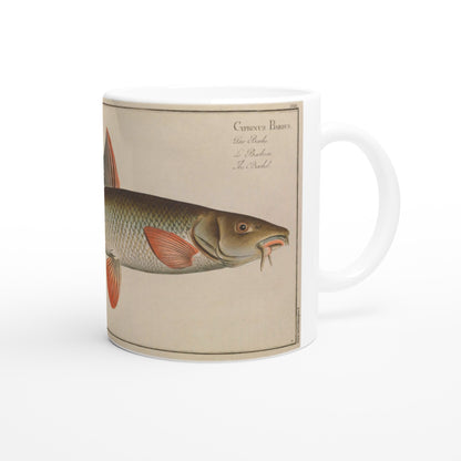 Mug en céramique Barbeau Cyprinus Barbus par Marcus Elieser Bloch. Mug en céramique blanche illustré d'une planche naturaliste ancienne représentant un barbeau (Cyprinus Barbus) avec le nom du poisson écrit en latin et dans plusieurs langues.