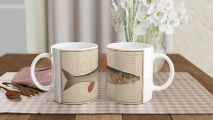 Mug en céramique Barbeau Cyprinus Barbus par Marcus Elieser Bloch. Mug en céramique blanche illustré d'une planche naturaliste ancienne représentant un barbeau (Cyprinus Barbus) avec le nom du poisson écrit en latin et dans plusieurs langues.