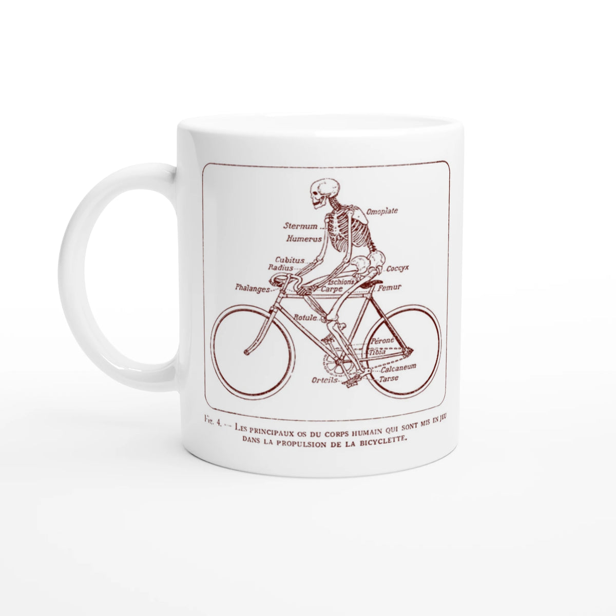 Mug blanc illustré d'une planche anatomique vintage de squelette à bicyclette. Mug blanc orné d'une illustration scientifique ancienne de couleur rouge bordeaux montrant un squelette humain pédalant sur un vélo, avec les noms des os du corps humain annotés en français.