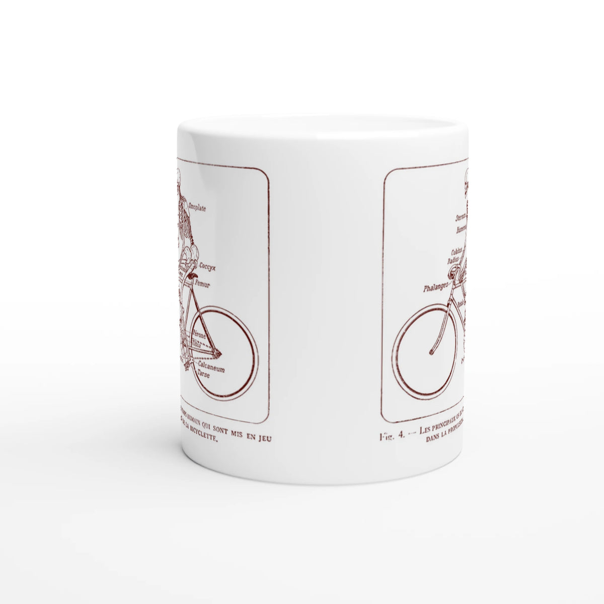 Mug blanc illustré d'une planche anatomique vintage de squelette à bicyclette. Mug blanc orné d'une illustration scientifique ancienne de couleur rouge bordeaux montrant un squelette humain pédalant sur un vélo, avec les noms des os du corps humain annotés en français.