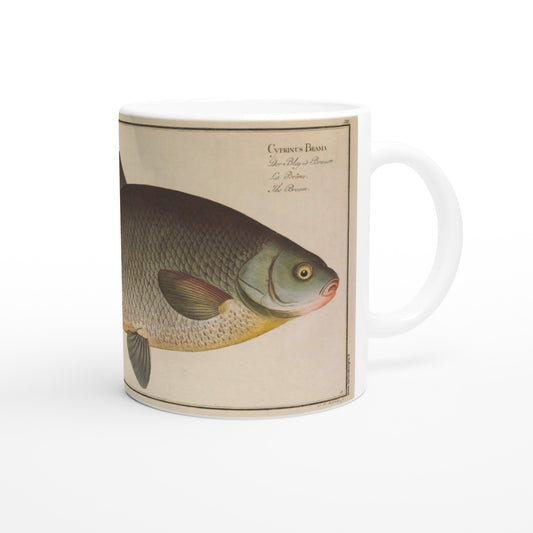 Mug en céramique avec illustration de Brème (Cyprinus brama) par Marcus Elieser Bloch. Mug en céramique blanche orné d'une illustration naturaliste de la brème (Cyprinus brama) extraite de l'Ichtyologie de Marcus Elieser Bloch, montrant le poisson de profil avec une légende textuelle latine et française.